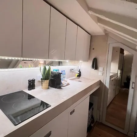 Typical Parisian Studio Under The Roofs Of Apartman *