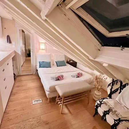 Typical Parisian Studio Under The Roofs Of Apartman