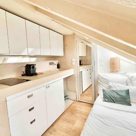 Typical Parisian Studio Under The Roofs Of Apartman